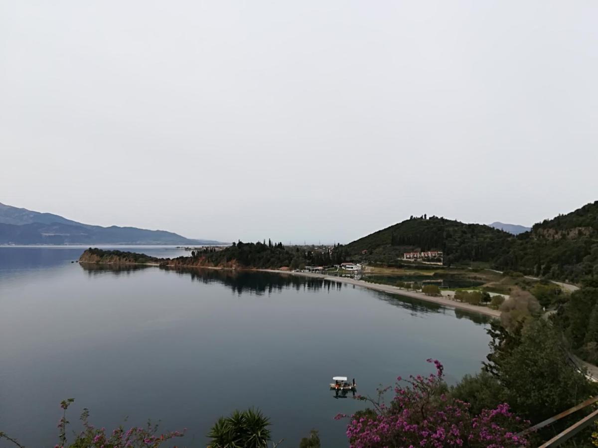 Thea Monastiraki住宿加早餐旅馆 外观 照片